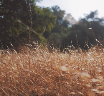 欧预赛激情点燃绿茵场，球迷狂热助威奏响胜利凯歌！