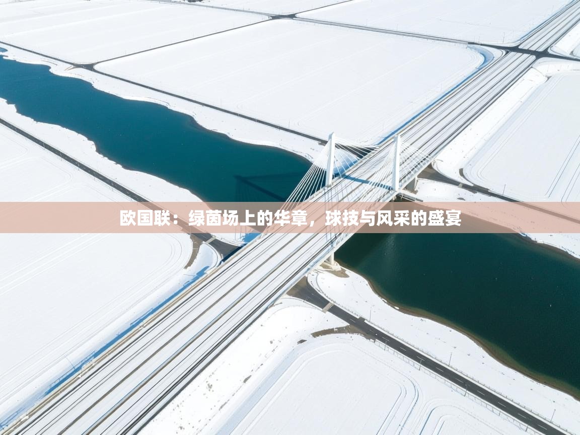 欧国联：绿茵场上的华章，球技与风采的盛宴  第1张