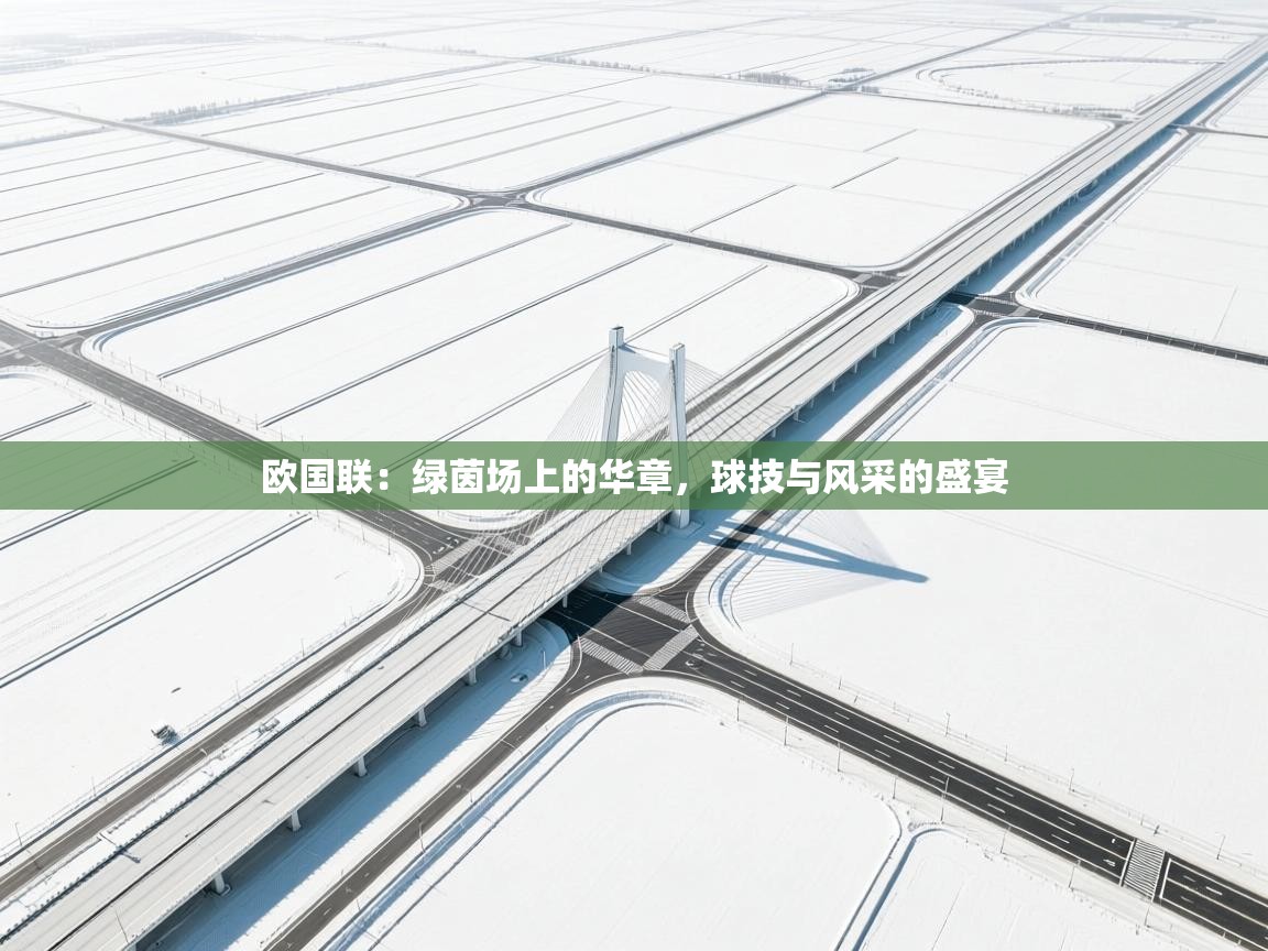 欧国联：绿茵场上的华章，球技与风采的盛宴  第2张