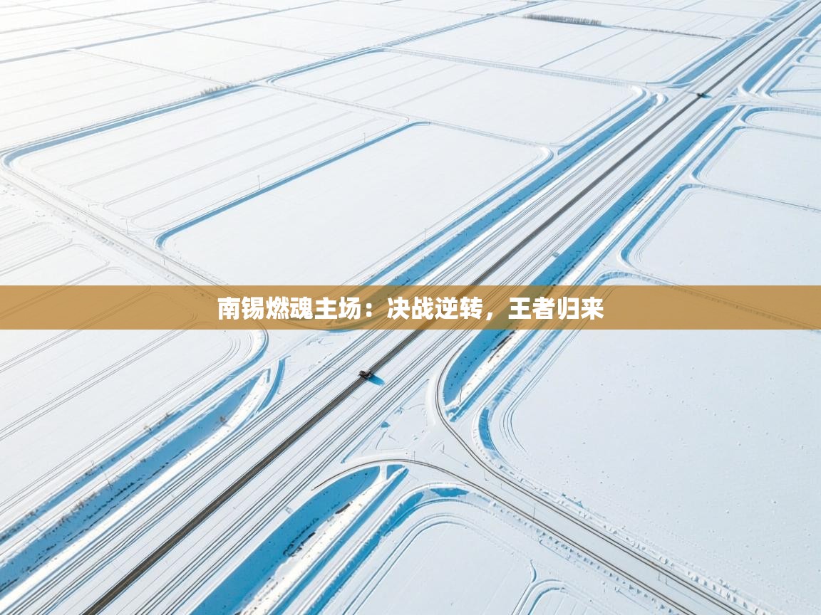 南锡燃魂主场：决战逆转，王者归来