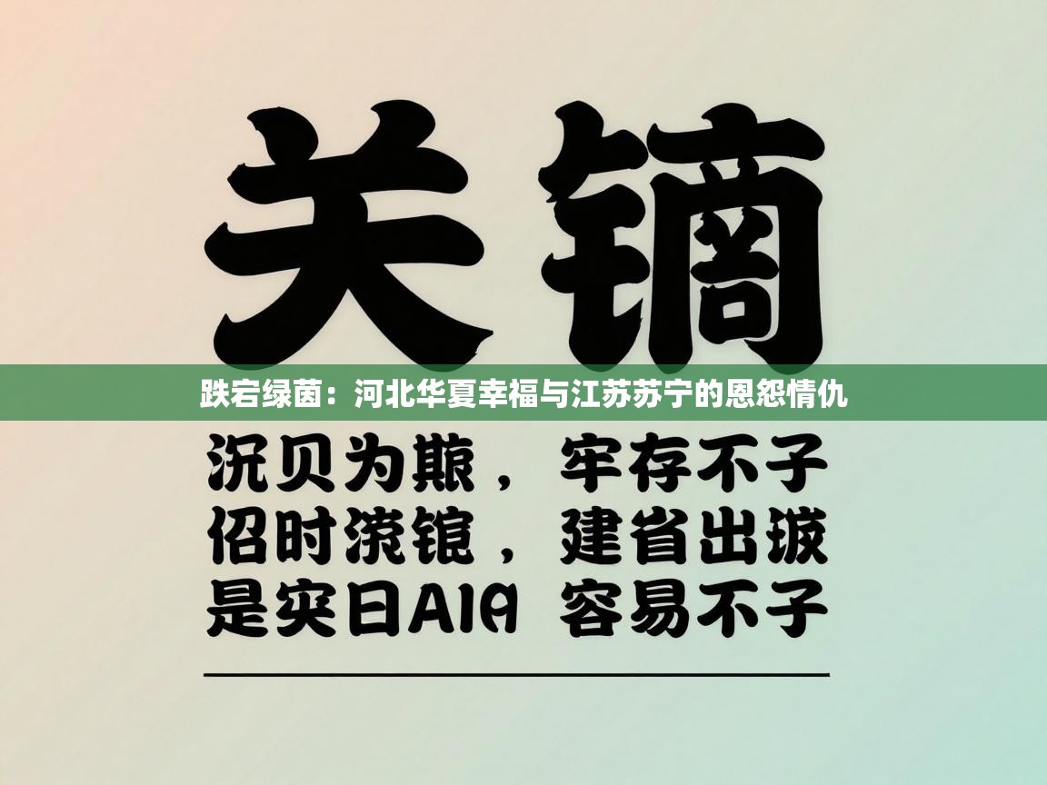 跌宕绿茵：河北华夏幸福与江苏苏宁的恩怨情仇